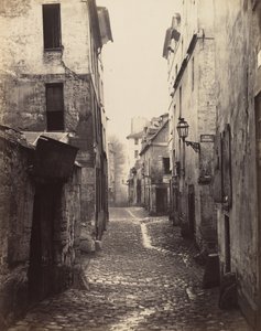 Rue d