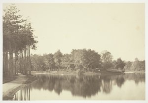 無題 作： Charles Marville
