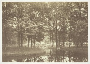 無題 作： Charles Marville