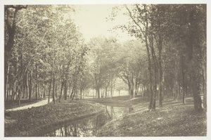 無題 作： Charles Marville