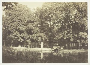無題、c。 1850. [パリの公園、ブローニュの森の水辺の木々]。