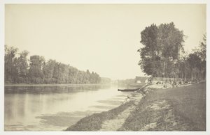 無題、c。 1850. [パリの公園、ブローニュの森の水辺の木々]。 作： Charles Marville