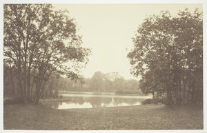 無題、c。 1850. [パリの公園、ブローニュの森の水辺の木々]。 作： Charles Marville
