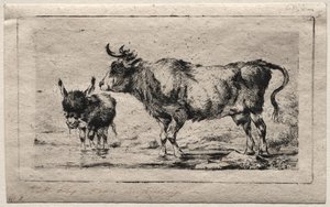牛とお尻、1849年。 作： Charles Meryon