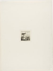 老兵の茅葺きコテージ、アカロア、1845年 作： Charles Meryon