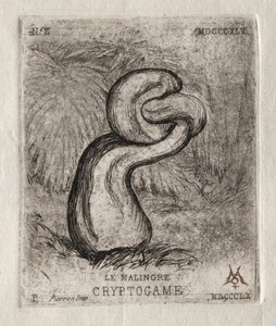 The Sickly Cryptogam、1860。 作： Charles Meryon