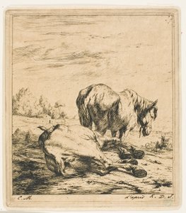 二頭の馬 作： Charles Meryon