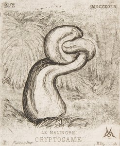 ちっぽけなクリプトガミア、1860年。 作： Charles Meryon