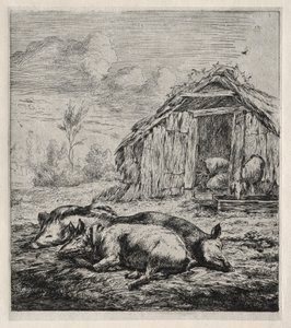 ものもらいの前に横たわる 3 匹の豚 作： Charles Meryon