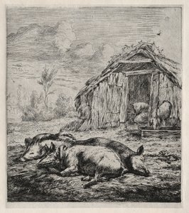 スタイの前に横たわる3頭の豚、1850年。 作： Charles Meryon