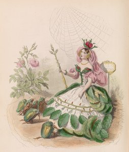 アニメーションの花、1867年。
