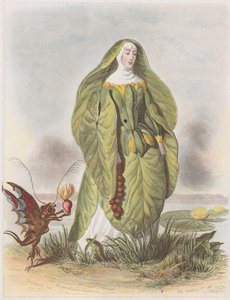 Les Fleurs Animées、1847年からのスイレン。 作： Charles Michel Geoffroy