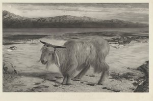 スケープゴート 作： Charles Mottram after William Holman Hunt