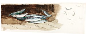 魚の研究（ボディカラーと水彩紙） 作： Charles Napier Hemy