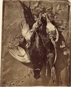 [羽の生えた狩猟鳥の静物]。 作： Charles Nègre