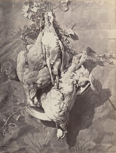 [狩猟鳥のある静物]、1859。 作： Charles Nègre