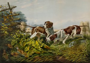 アメリカのフィールドスポーツ。"ポイントについて" 作： Charles Parsons