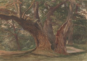 Trees in a Landscape   1444587   ja       japanese Successfully Translated  Original: Beaulieu, Hampshire Translat: Beaulieu, Hampshire 1444441 ja japanese Successfully Translated Original: Design for an Urn Translat: Design for an Urn 1445486 ja japanese  作： Charles Reginald Aston