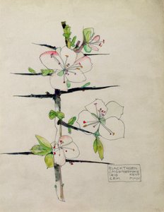 Blackthorn、Chiddingstone、ケント、1910年（トイレ）
