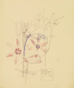 イクシアス 作： Charles Rennie Mackintosh