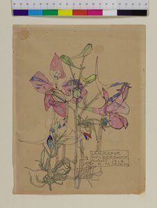 ラークスパー、1914年 作： Charles Rennie Mackintosh
