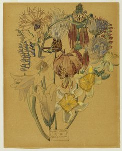 モントルイス-花の研究、1925