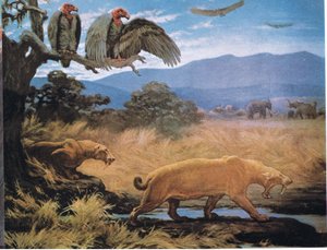 セイバー・トゥース・キャット 作： Charles Robert Knight