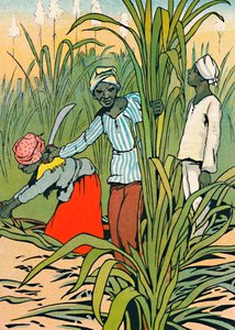 サトウキビの間で働いて、1912 作： Charles Robinson