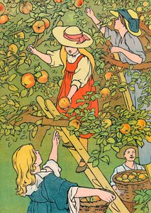 果物を選ぶ、1912 作： Charles Robinson