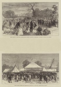 バーミンガムの王立園芸協会の展示会でアーサー王子 作： Sir John Charles Robinson