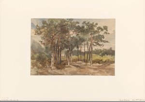Driebergen 近くの森の木々 のグループ 作： Charles Rochussen