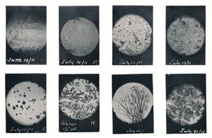 「クレバスの氷の結晶」、1911 年 6 月から 7 月、1913 年 作： Charles S Wright