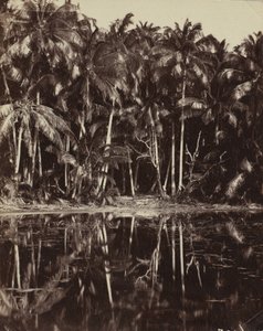 テティアロア - 1880 年代または 1890 年代のパウモツ ラグーン。 作： Charles Spitz