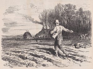 ル・マガザン・ピトレスク、1857年5月からの散乱種子。 作： Charles Tamisier