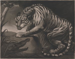 トラとクロコダイル 作： Charles Turner