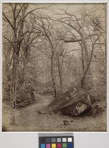 フォンテーヌブロー、1870年頃（アルブメンプリント） 作： Charles Victor Famin