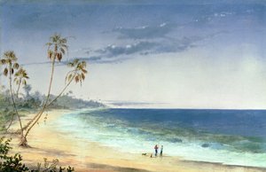 キューバの風景、1866 作： Charles de Wolfe Brownell