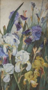 アイリス、1882 作： Charlotte Hodder