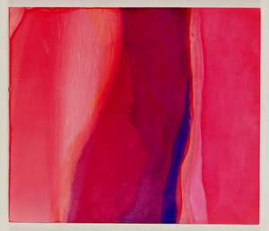 サリフィッシュ、2000（ジェッソの油） 作： Charlotte Johnstone