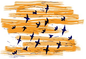 飛ぶ鳥、2020 作： Charlotte Orr