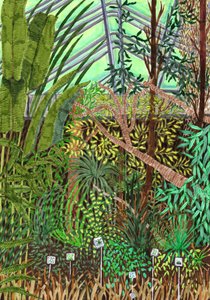 植物園、2017年（筆ペン）