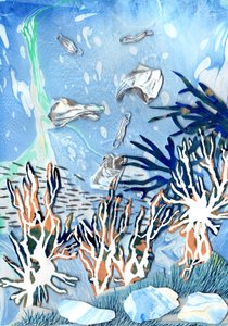 サンゴ礁、2021 年 作： Charlotte Orr