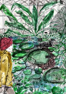 オックスフォード植物園、2020 作： Charlotte Orr