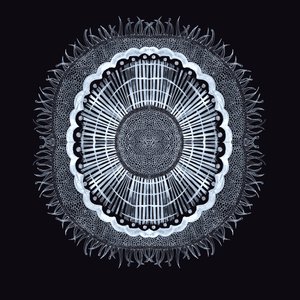 Plant Cell 0.2, 2019 (ペンとインク) 作： Charlotte Orr