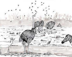 Safari 2、2018年（インクと水彩） 作： Charlotte Orr