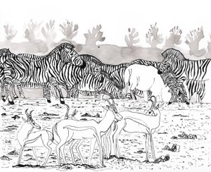 Safari 3、2018年（インクと水彩）