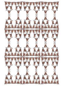 お茶のパッケージデザイン、2018年（インクと水彩） 作： Charlotte Orr