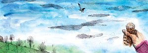 かもめの物語、2020年（水彩とペン） 作： Charlotte Orr