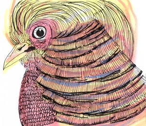 熱帯の鳥、2018年（ペン、インク、水彩） 作： Charlotte Orr