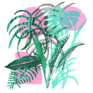 熱帯植物、2018年（スクリーンプリント） 作： Charlotte Orr
